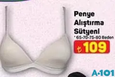 PENYE ALIŞTIRMA SÜTYENİ fiyat ve kampanya bilgisi